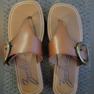 Zodiac Jadon Brown Platform Sandals With Buckle-Size 10- NWOT